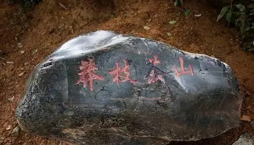 歷經(jīng)繁華后寂寂無(wú)名的古茶山——莽枝